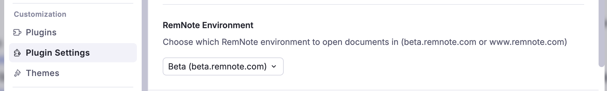 remnote-environment
