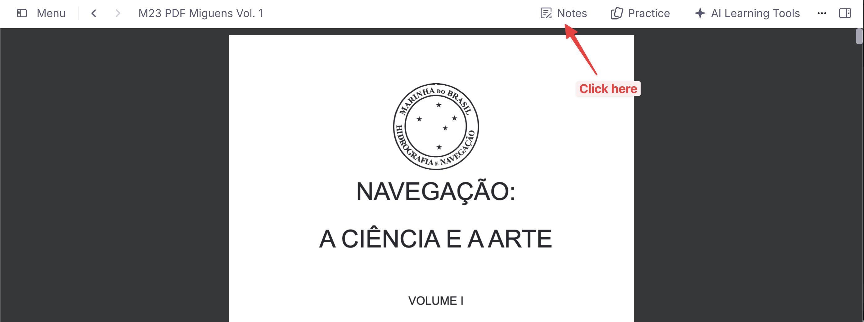 PDF Viewer interface